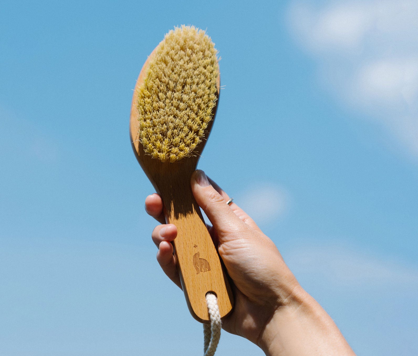 Ursa Major Dry Brush 3