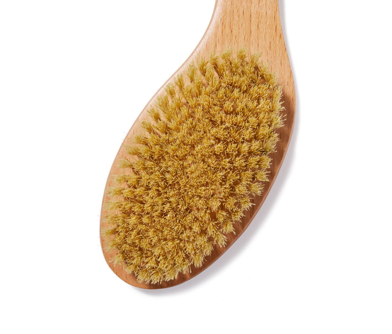 Ursa Major Dry Brush 5