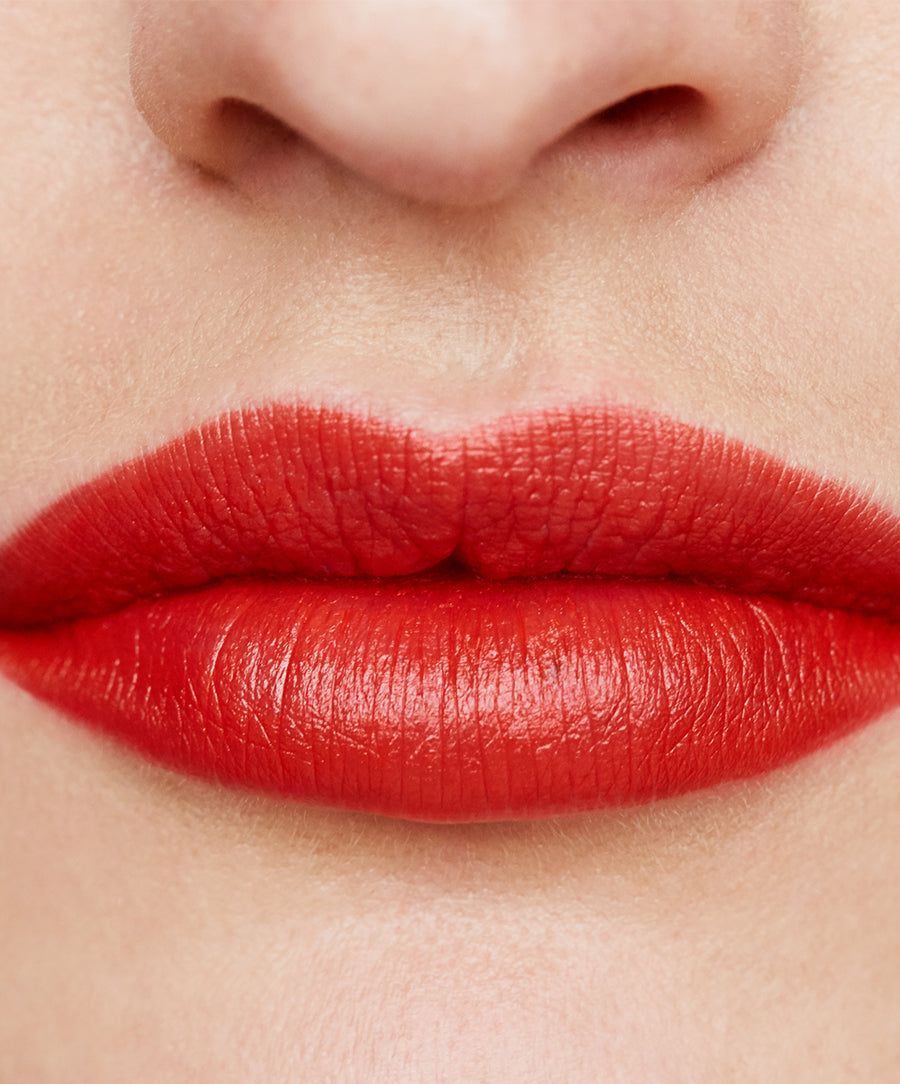 Wild With Desire Lipstick 3