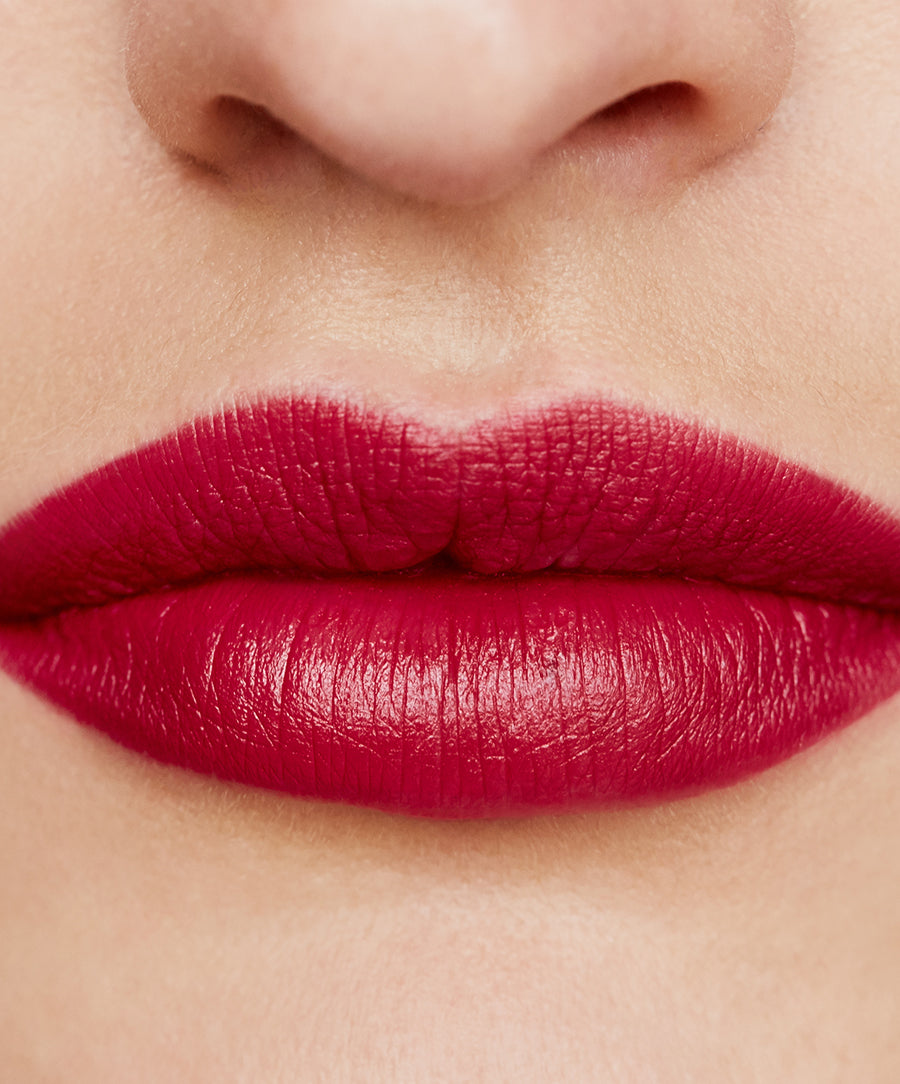 Wild With Desire Lipstick 13