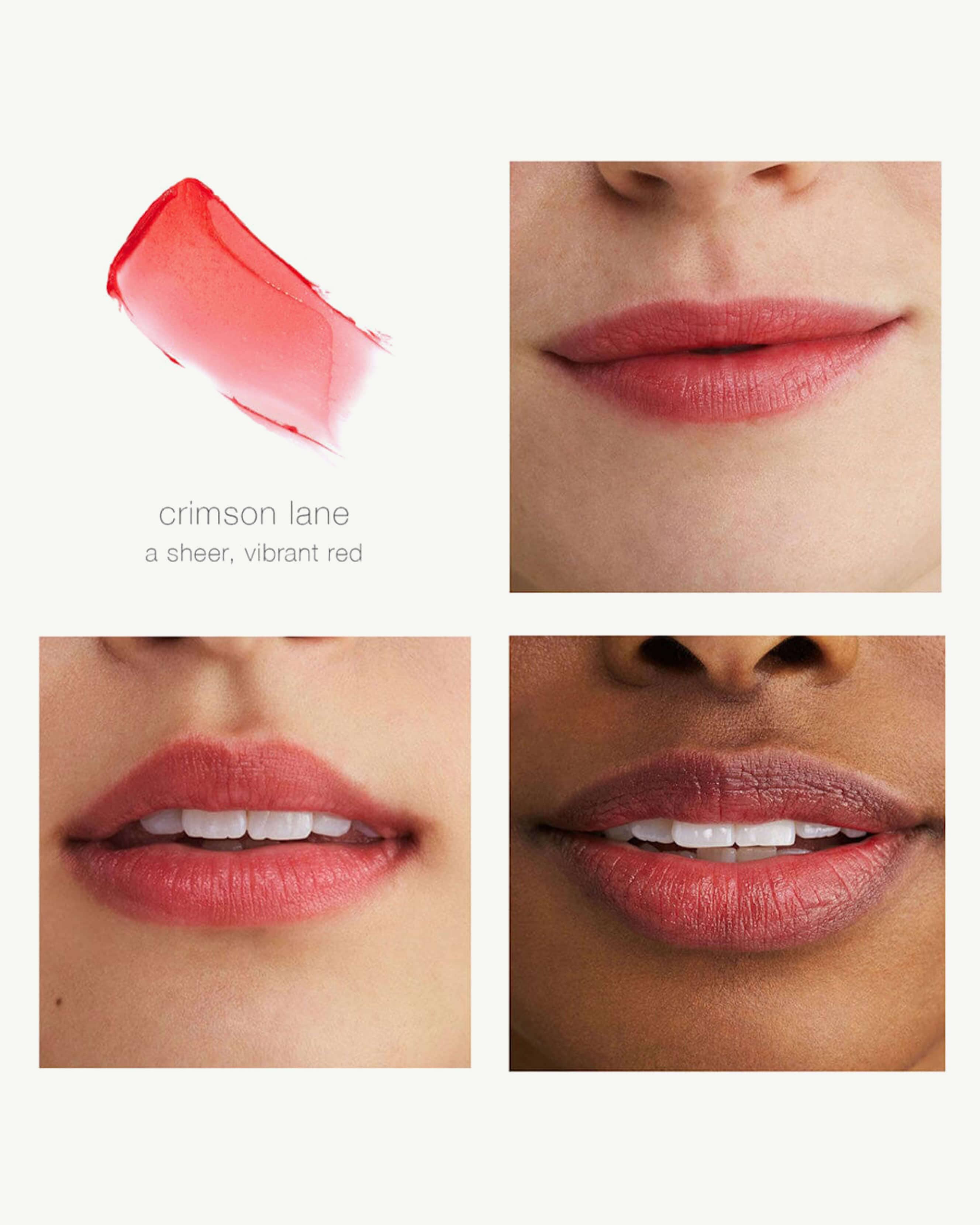 Tinted Daily Lip Balm 5