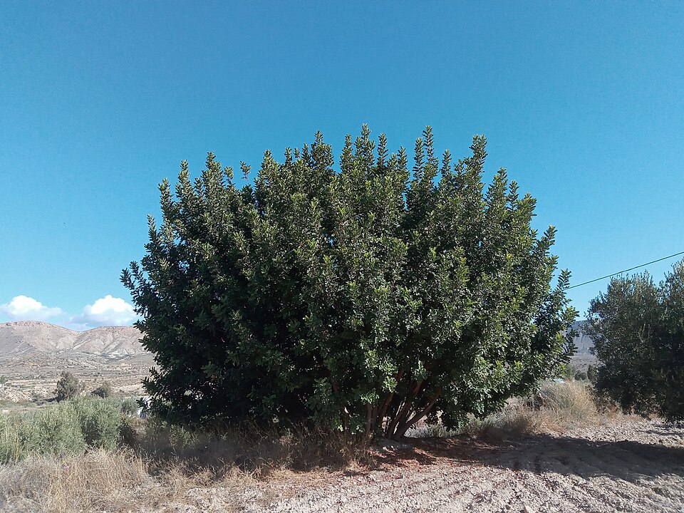 undefined 2