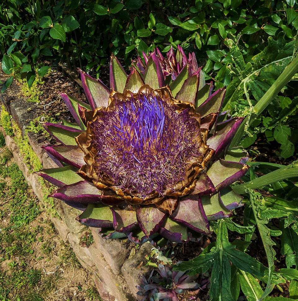 undefined 2