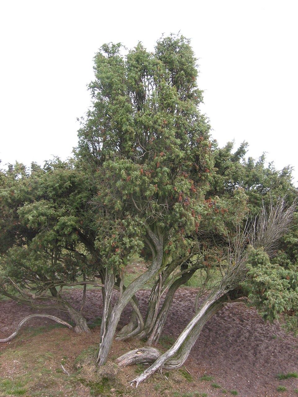 undefined 2