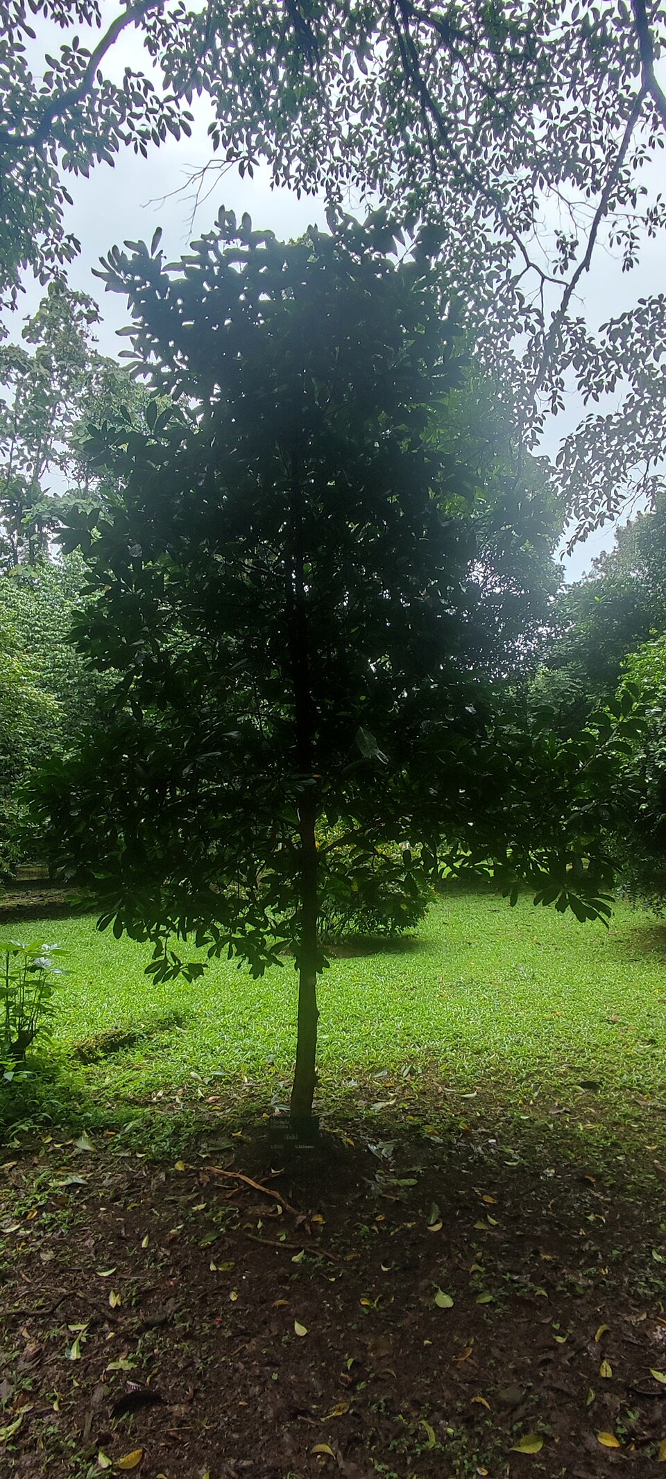 undefined 4