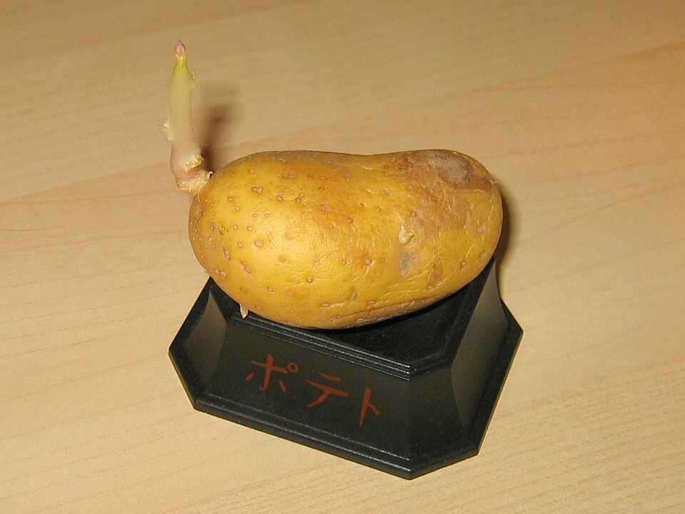undefined 2