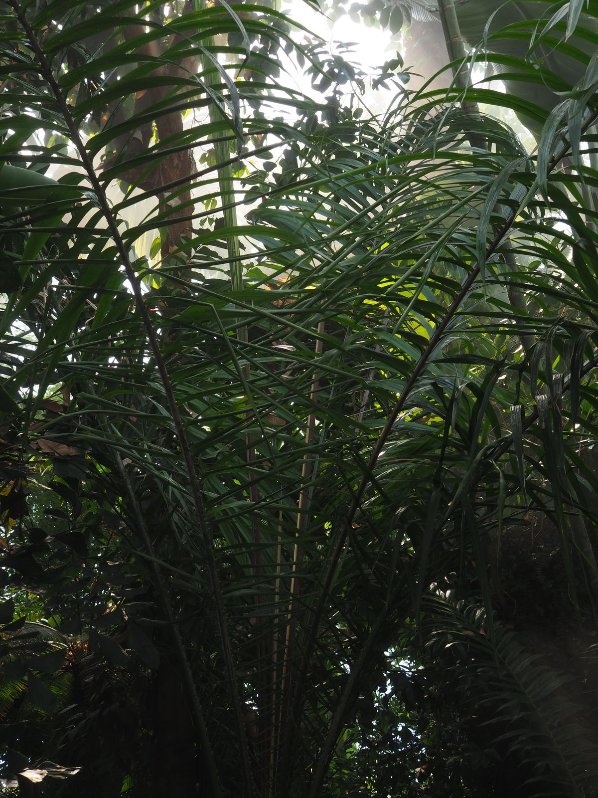 undefined 5