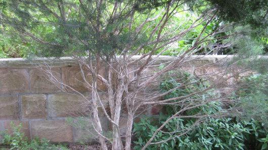 undefined 2