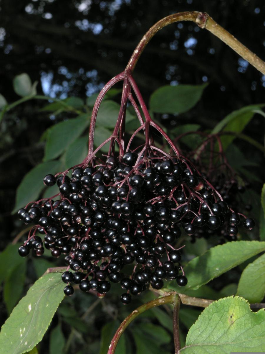 undefined 4