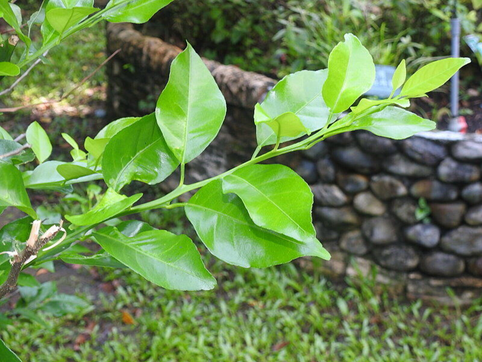 undefined 5