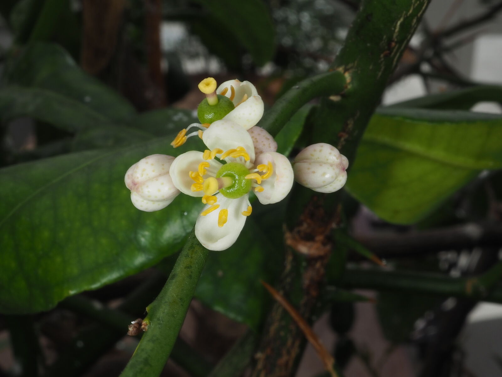 undefined 2