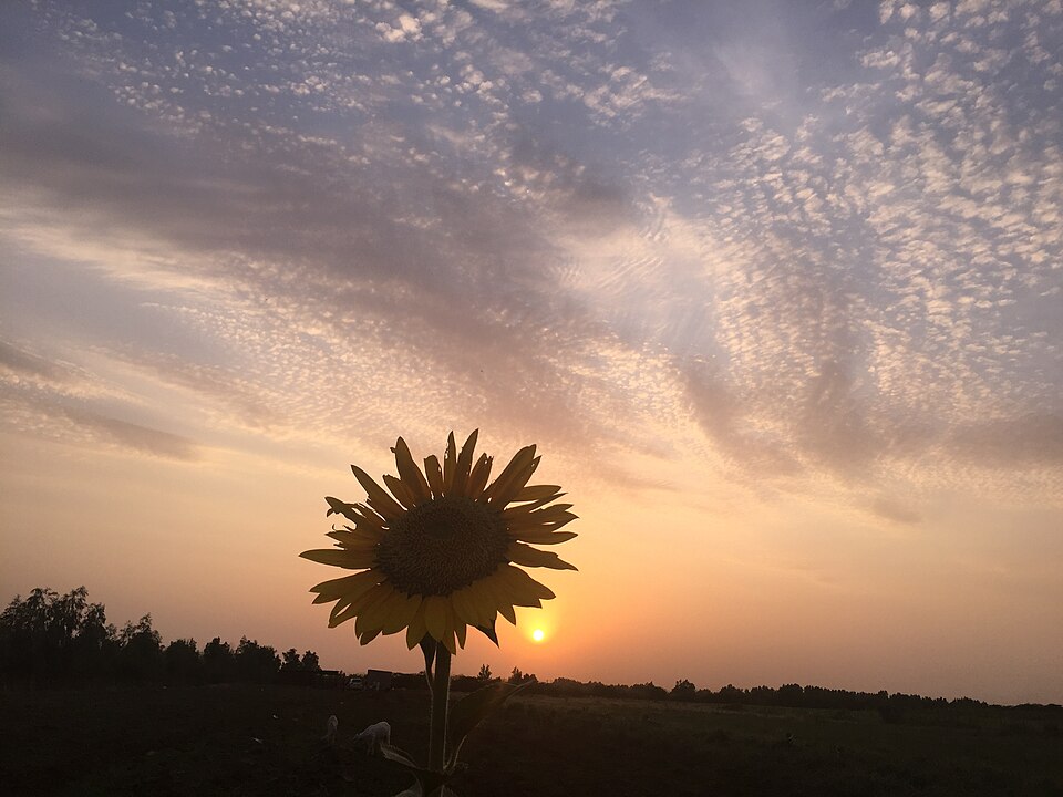 undefined 11