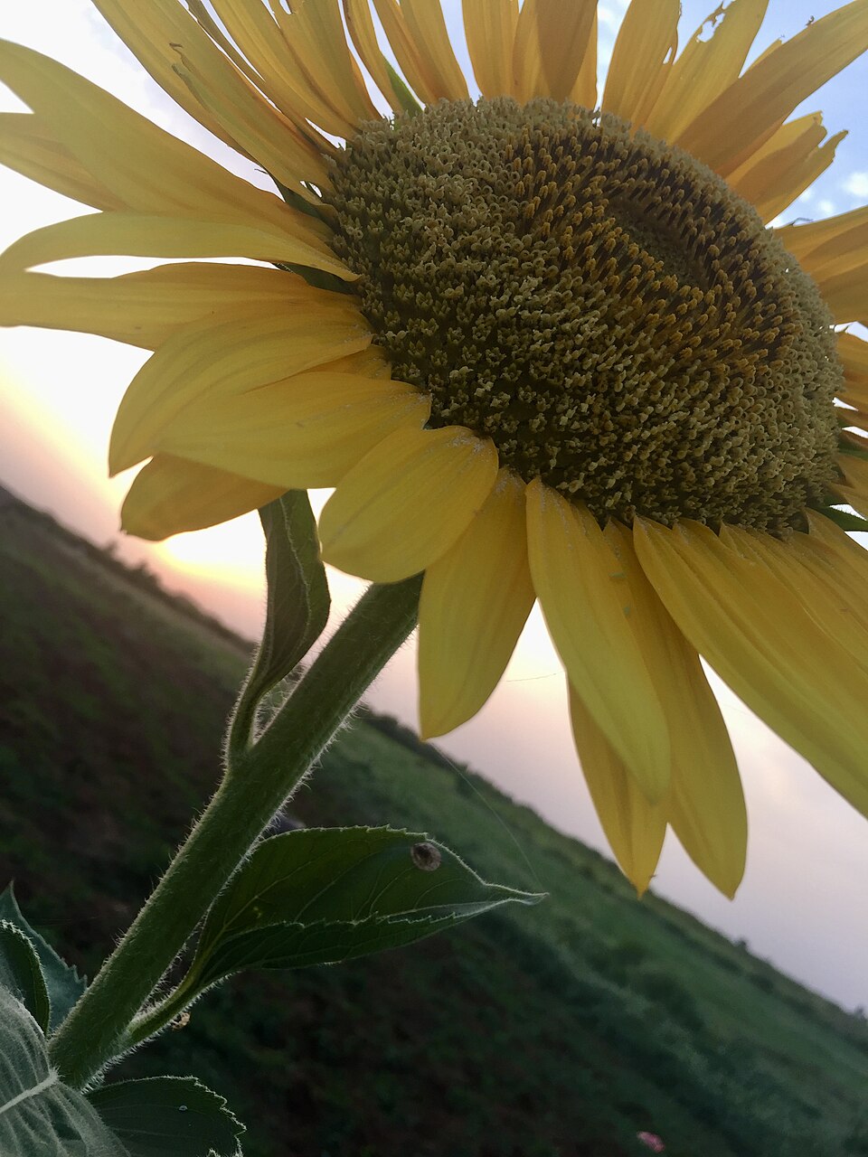 undefined 14