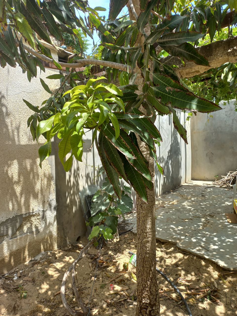 undefined 6