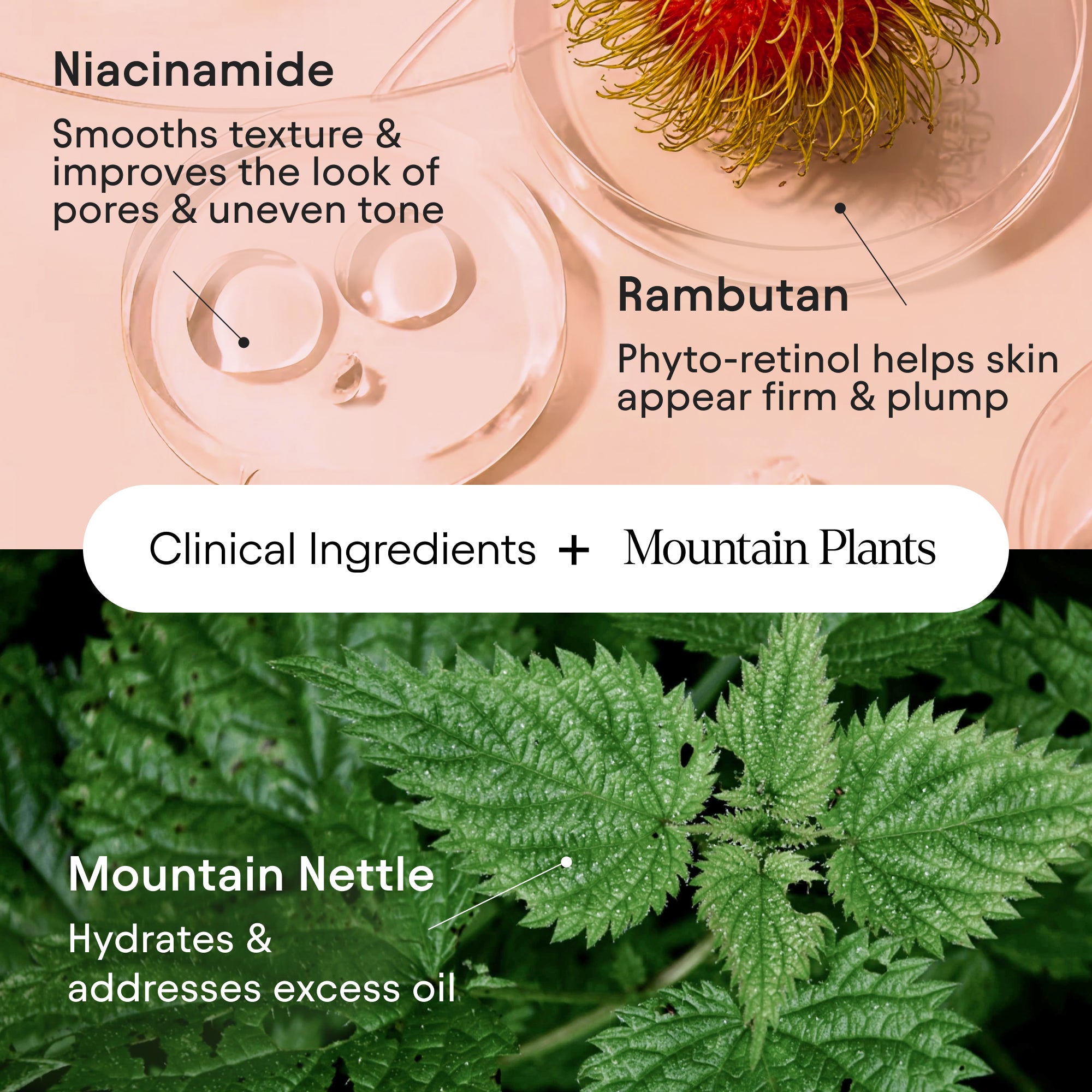 Hydrating Firming Serum 6