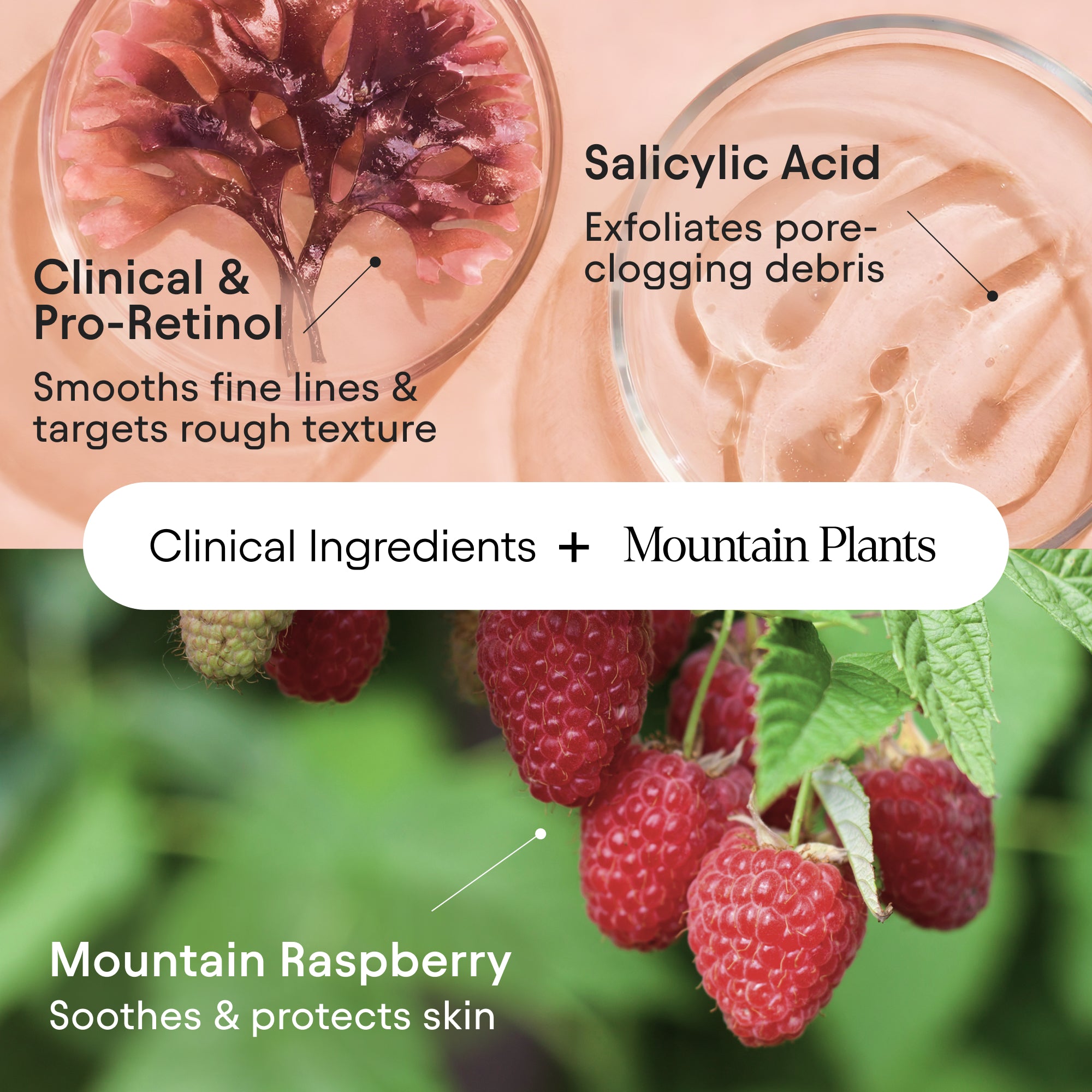 Clarifying Facial Oil 6