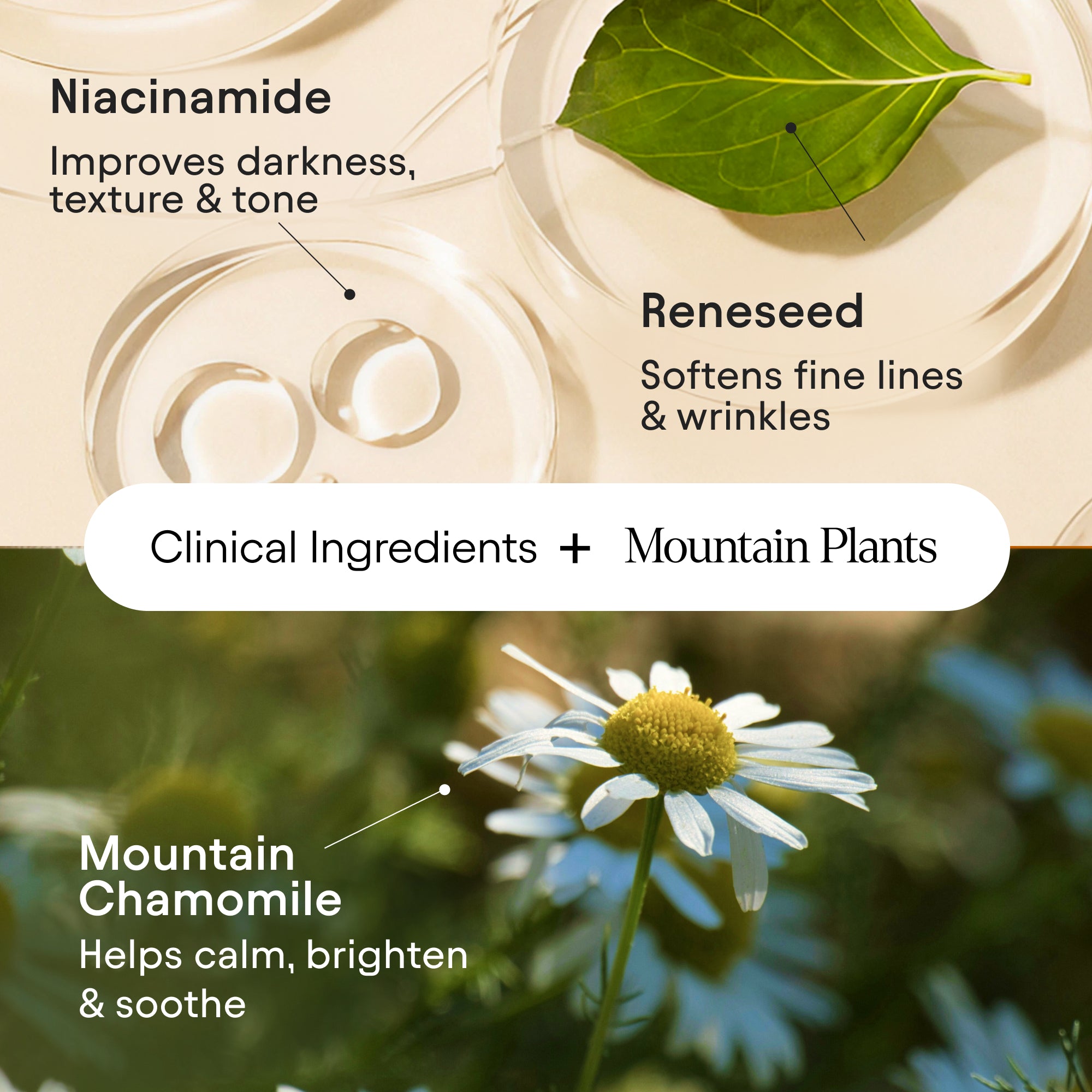 Instant Bright Eye 8