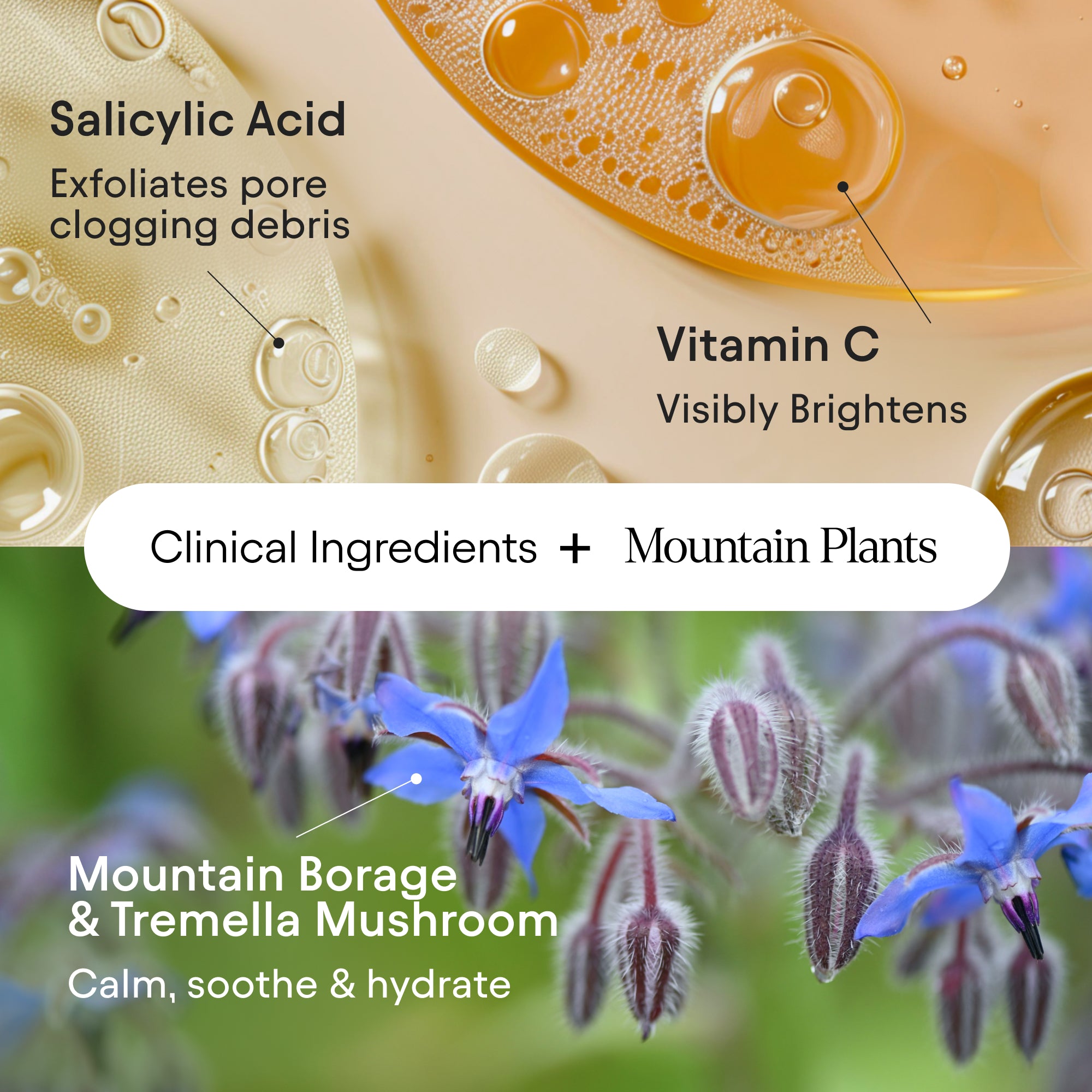 Pore Perfecting Liquid 5