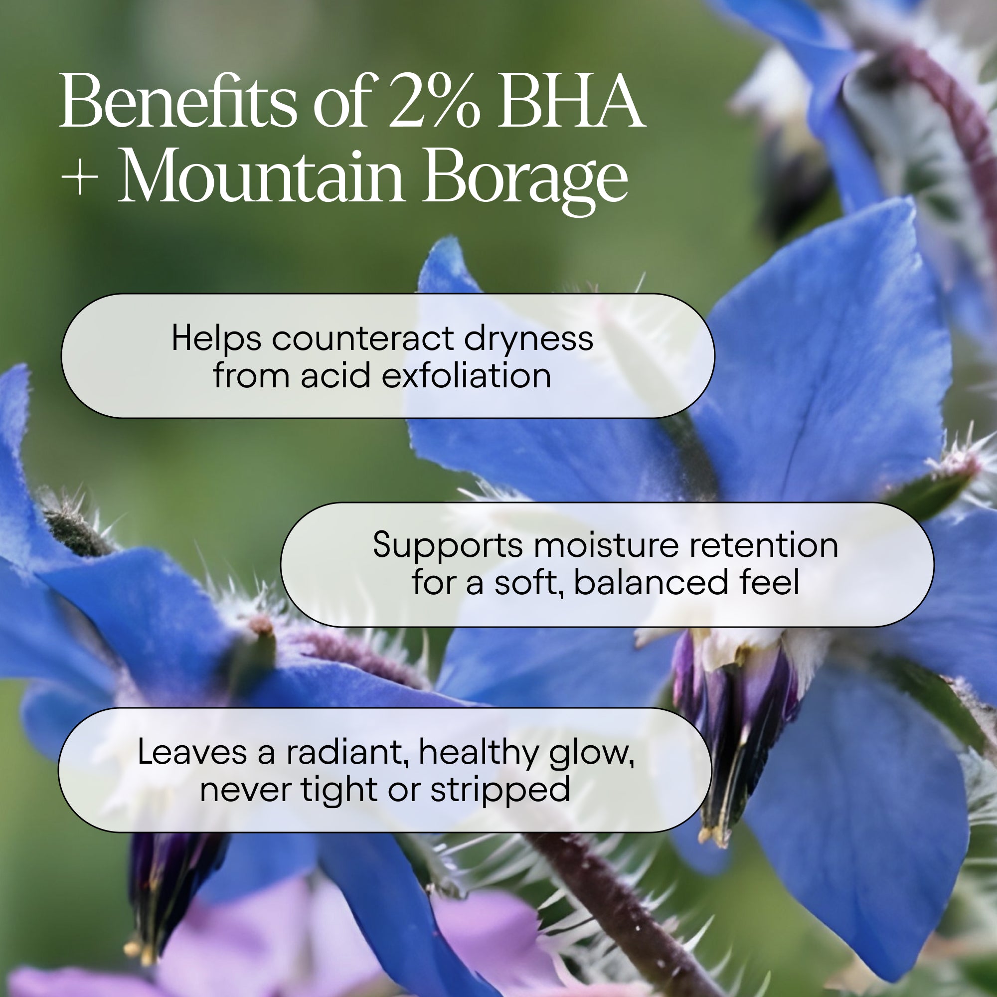 Pore Perfecting Liquid 6