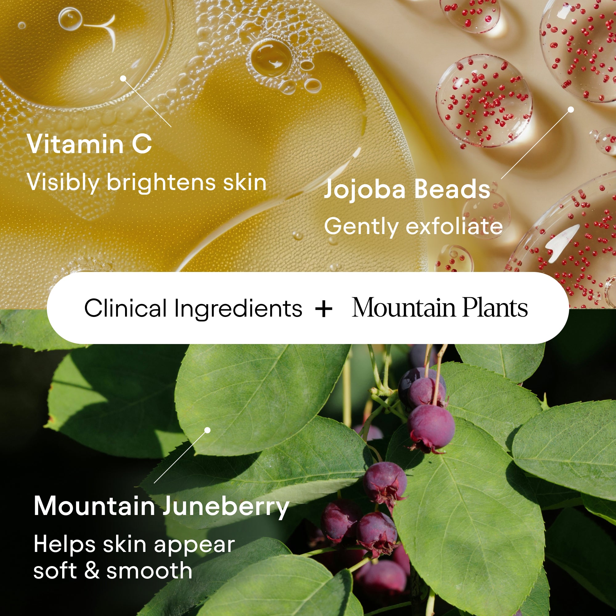 Hydrating Cold Cream Cleanser 6