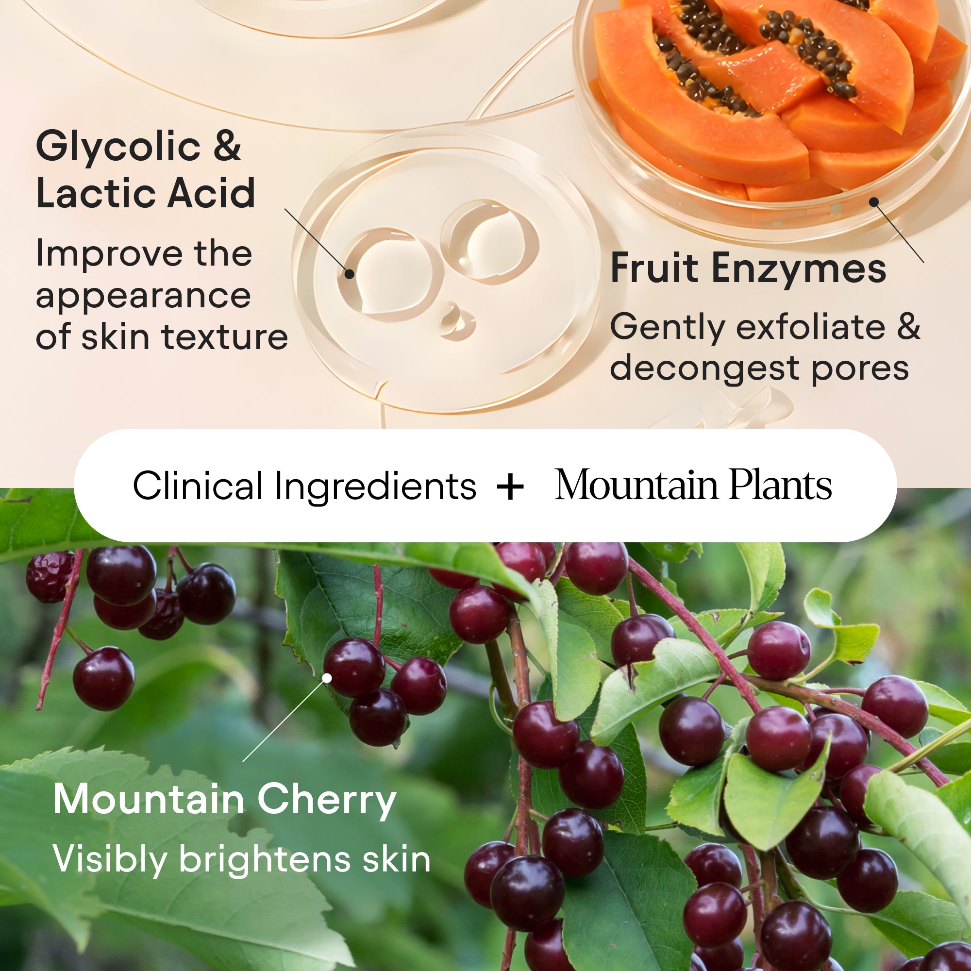 Brightening Bubbling Cleanser 4