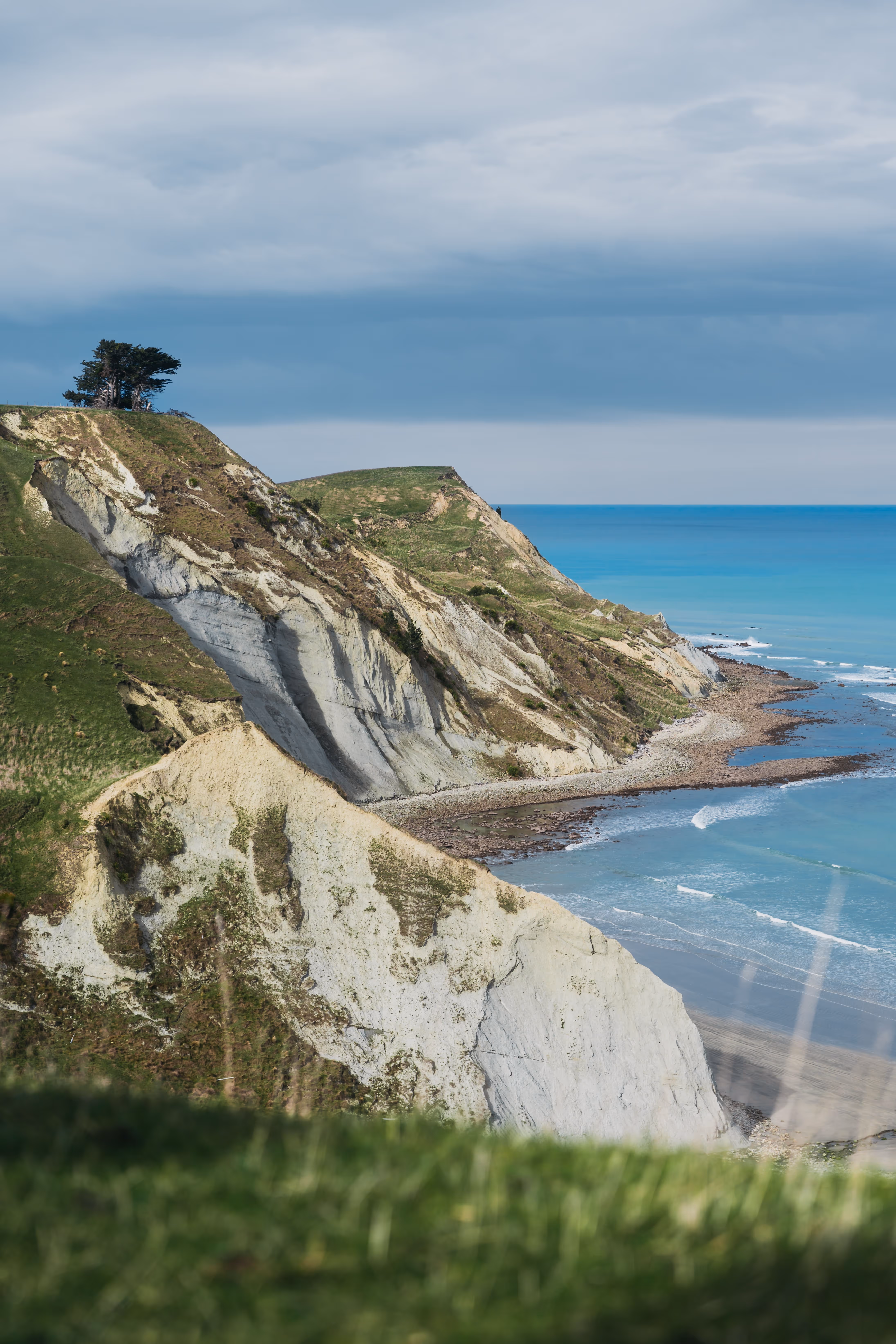 Real new zealand tours