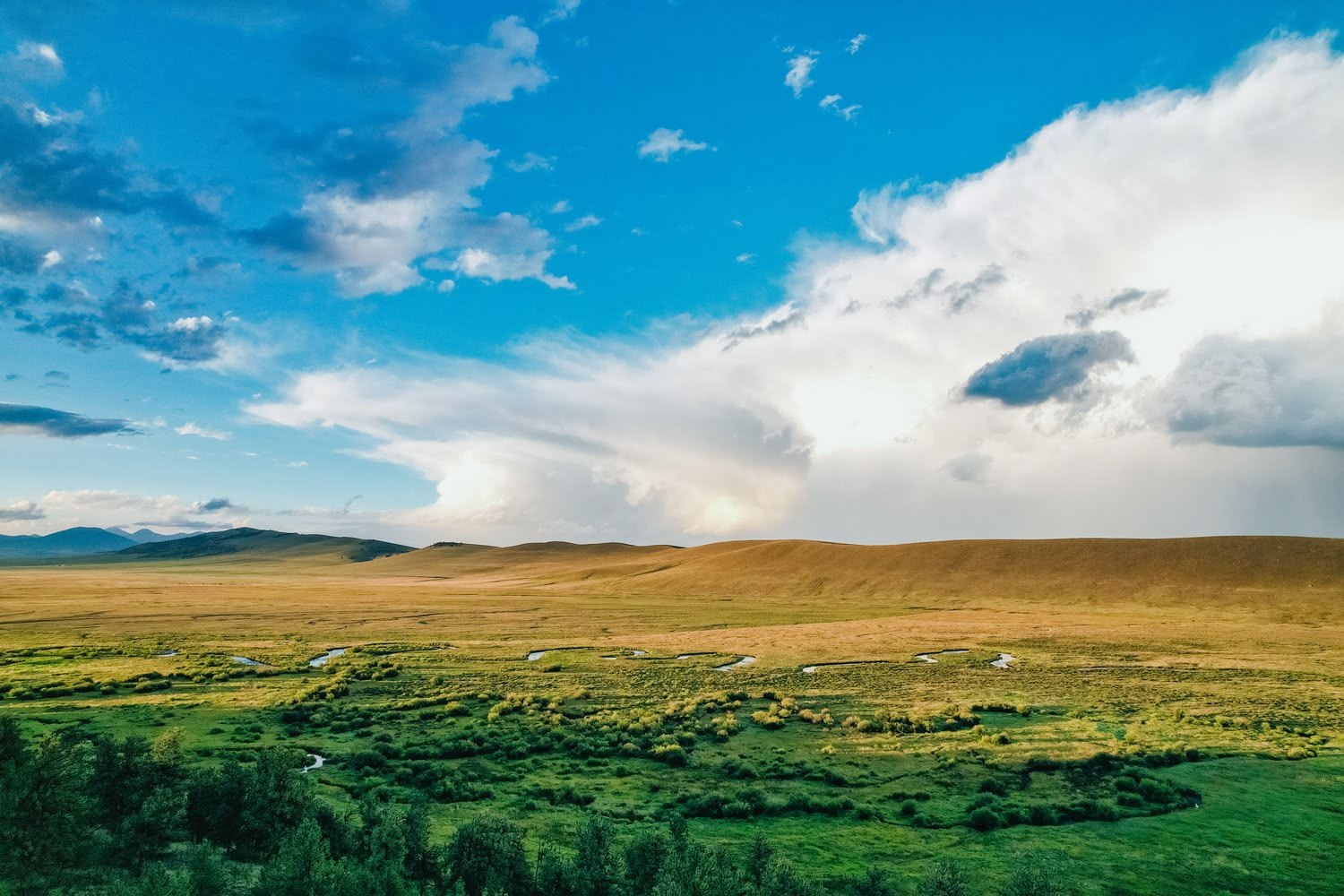 Tomahawk Ridge, Hartsel, CO | 2021