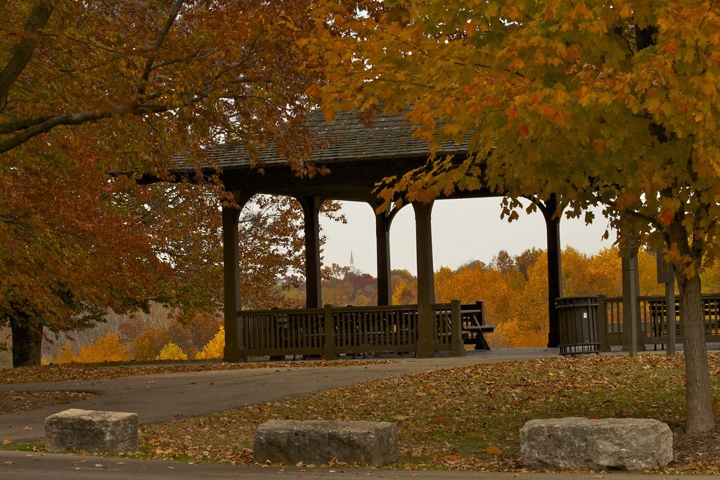 A gazebo in the middle of a park surrounded by trees.