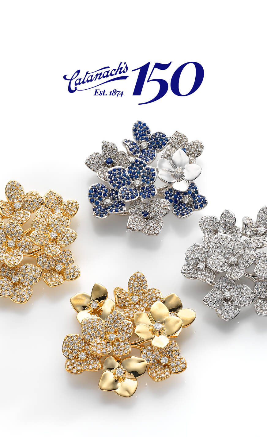 Catanach’s 150-year Campaign