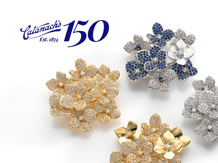 Catanach’s 150-year Campaign