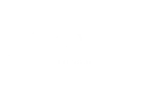 Luksusbaby Logo