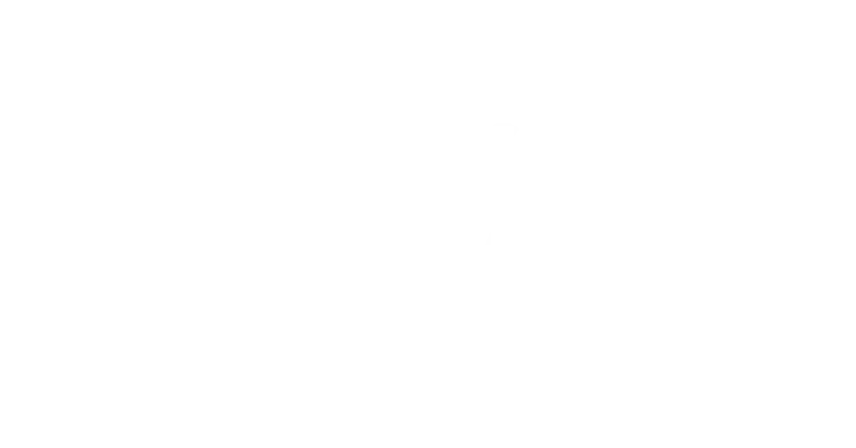Mads Nørgaard logo