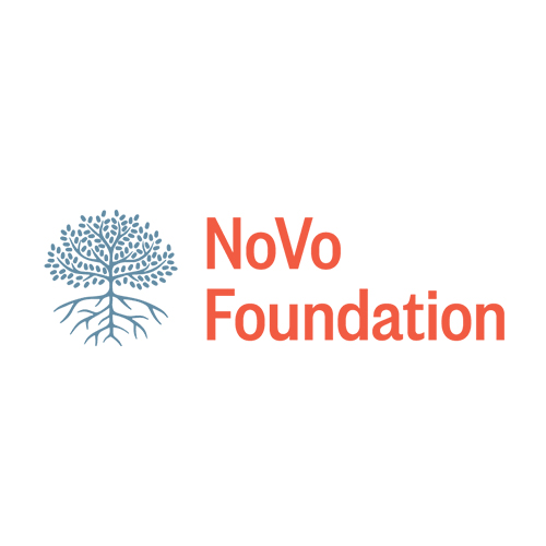 Novo Foundation Logo