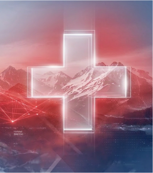 How Swiss B2B Companies Should Approach AI Search in 2026