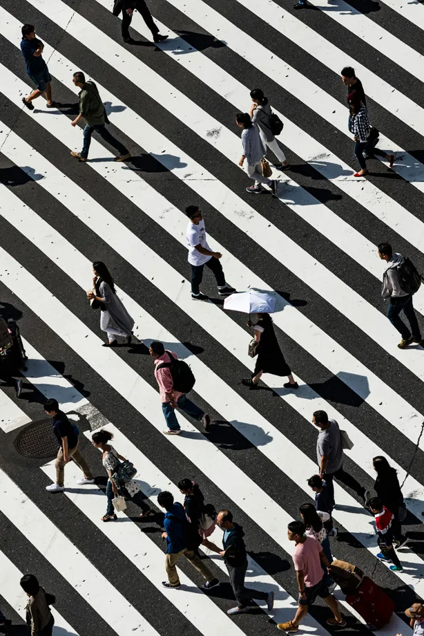 traversée de passage clouté
