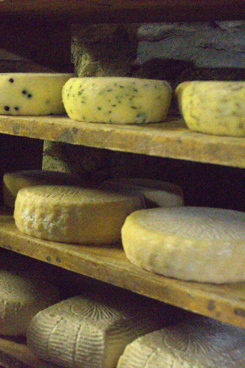 Comté