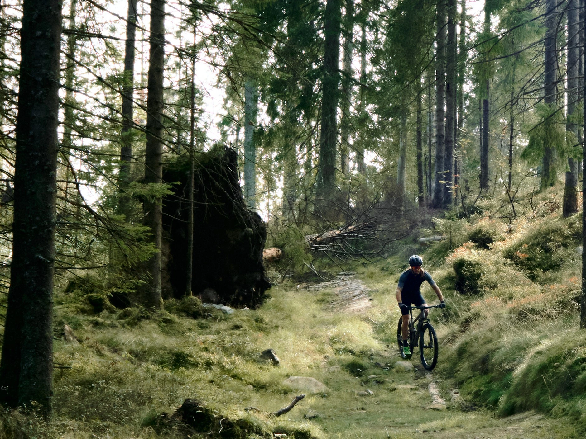 Nu känns bokföringen enkel och stressfri med Wrebit
