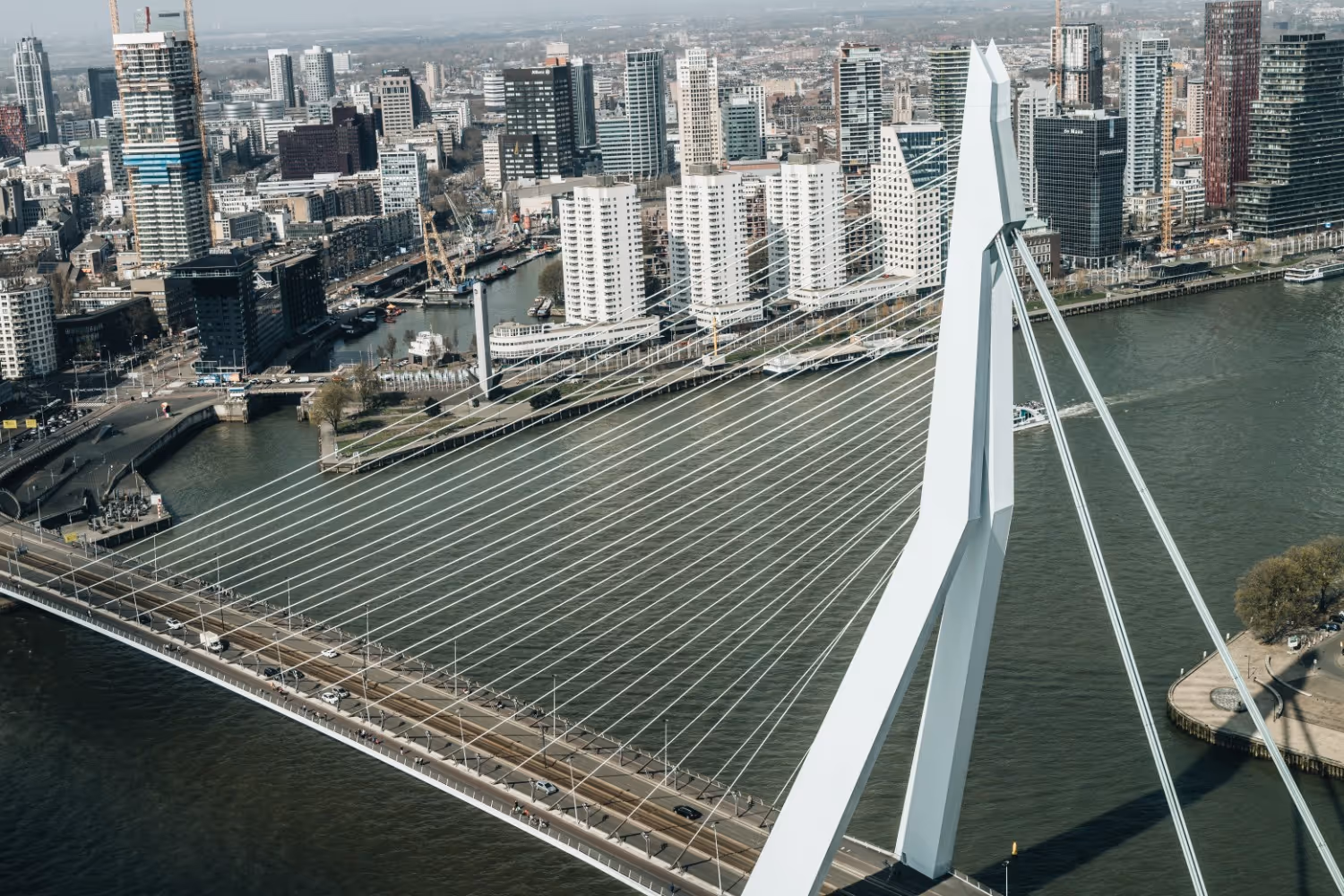 Uitzicht op de Erasmus brug in rotterdam