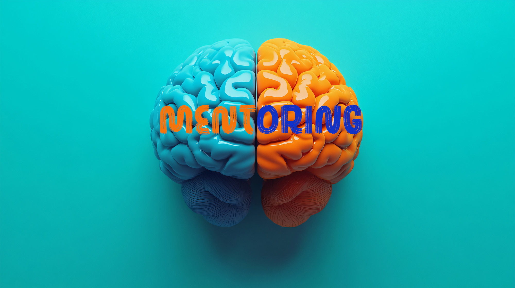 Brain on a turquoise background, left side of brain turquoise with ‘Men’ written on it in orange and right side of brain orange with ‘toring’ written on it in dark blue.
