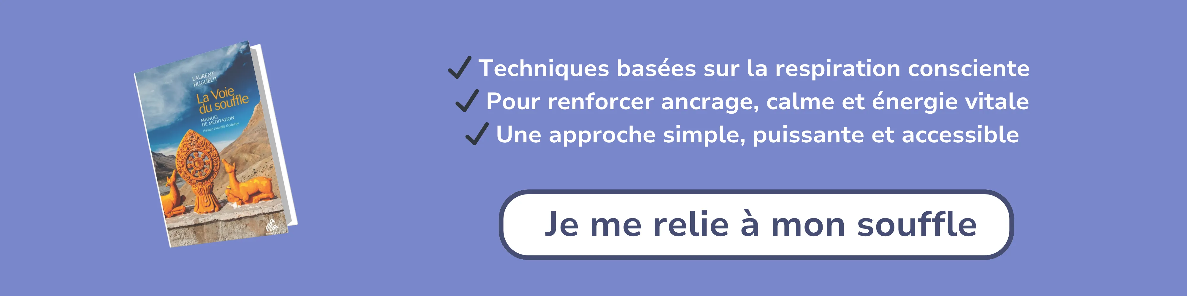 Bannière d’affiliation pour “La voie du souffle – Manuel de méditation”