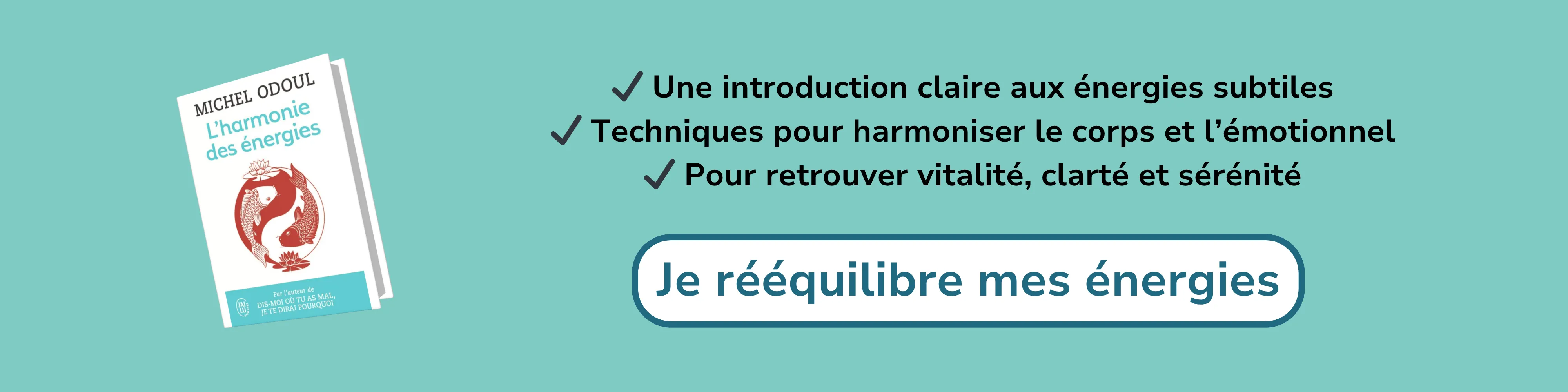 Bannière d’affiliation pour “L’harmonie des énergies”