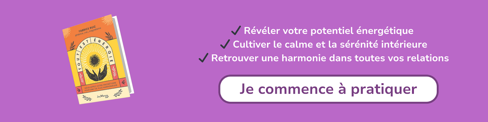 Bannière d'affiliation pour Tout est énergie