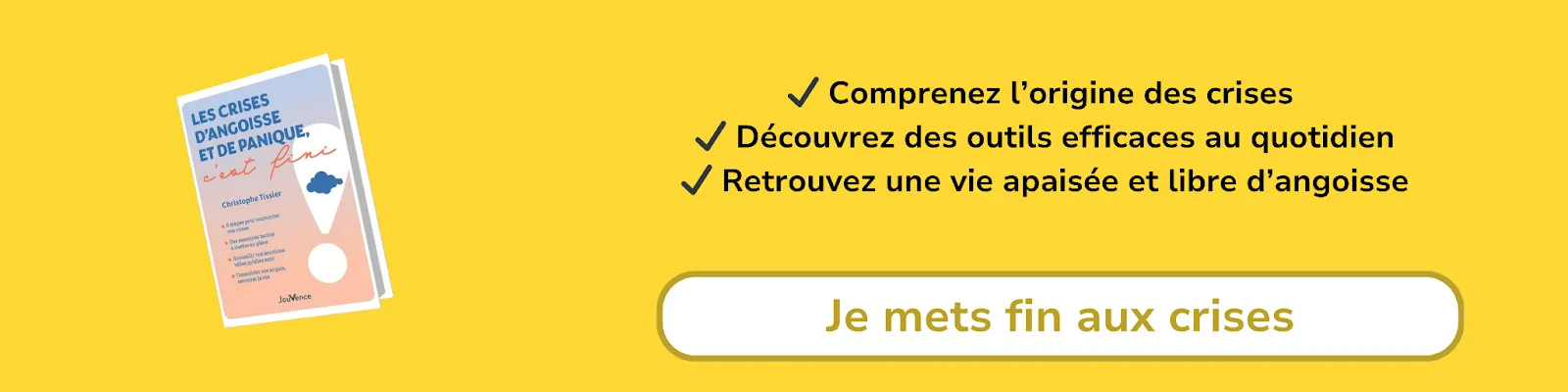 Bannière d'affiliation pour le livre -Les crises d'angoisse et de panique, c'est fini
