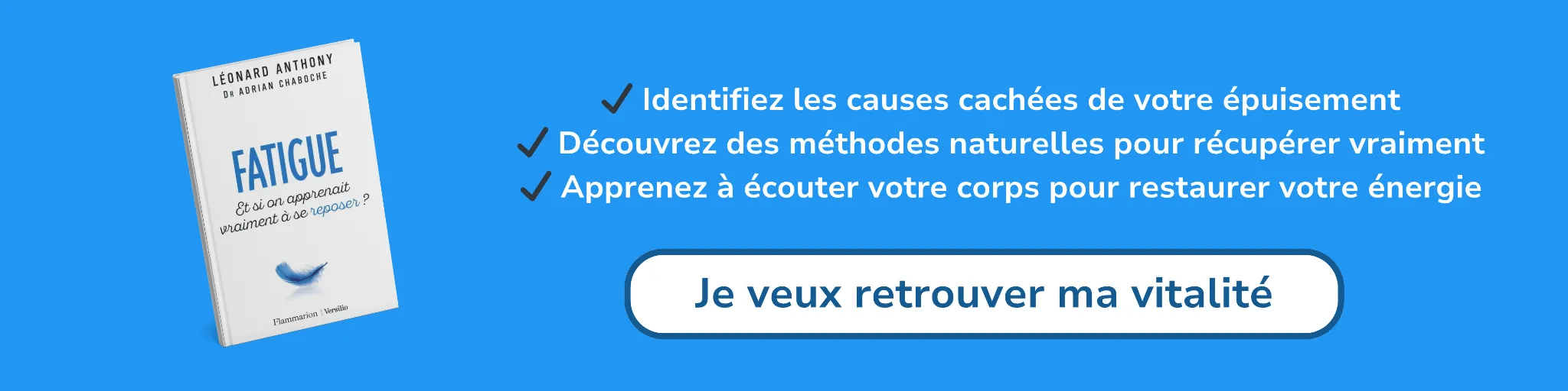 Bannière d'affiliation pour le livre -Fatigue