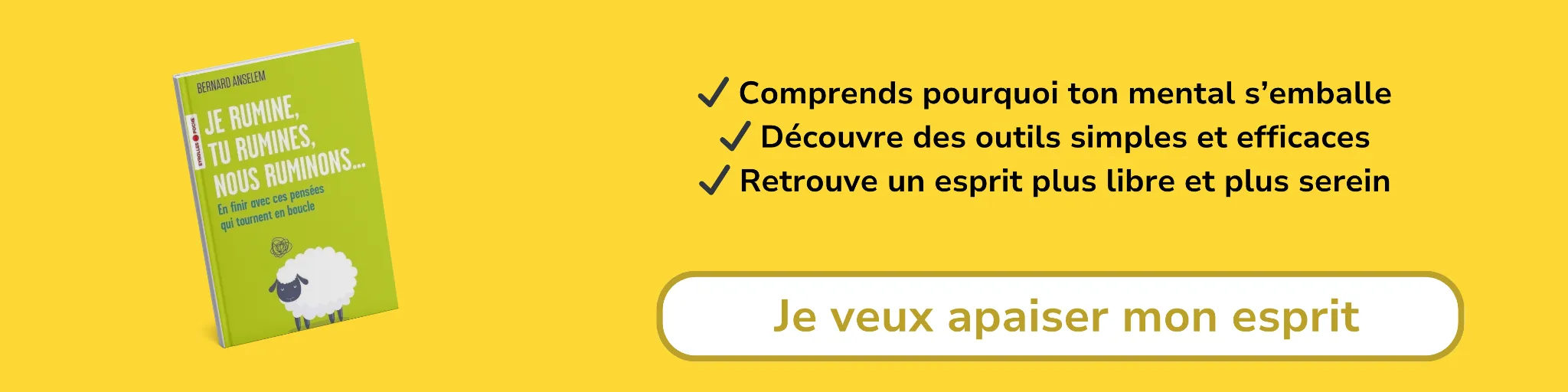 Bannière d'affiliation pour le livre - Je rumine, tu rumines, nous ruminons