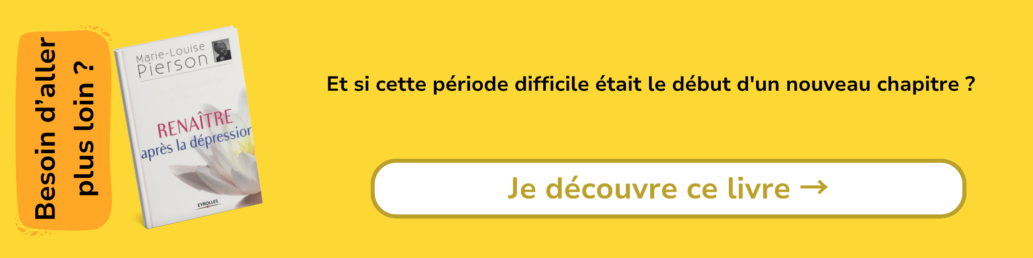 Bannière d'affiliation pour le livre -Renaître après la dépression