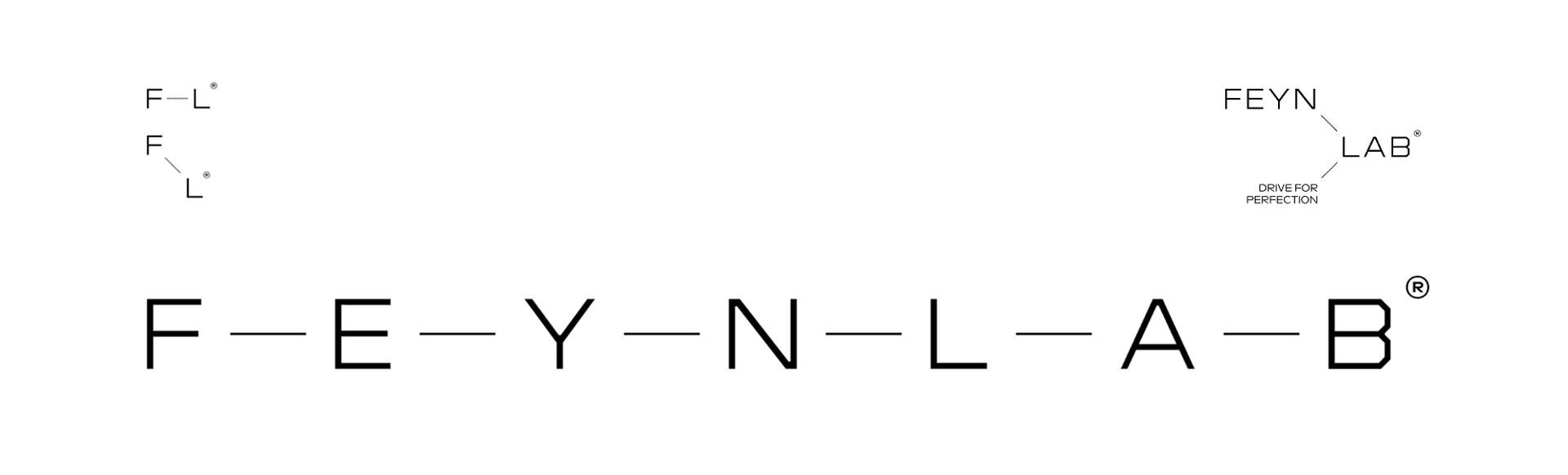 brandon archibald feynlab