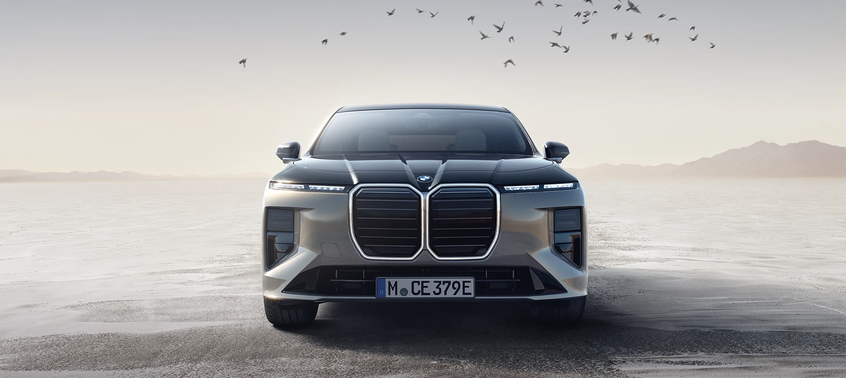BMW XM in Frontansicht vor weiter Landschaft mit Vogelschwarm – BMW Köhler in Karlstadt