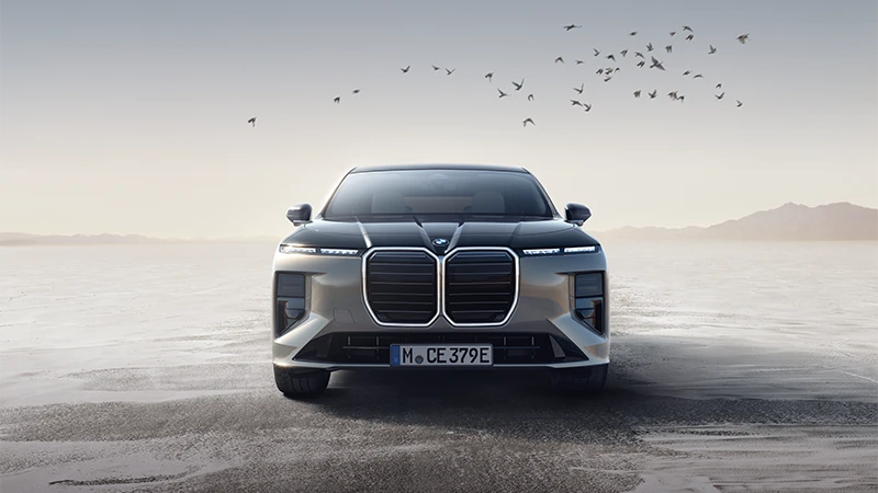 BMW XM in Frontansicht vor weiter Landschaft mit Vogelschwarm – BMW Köhler in Karlstadt