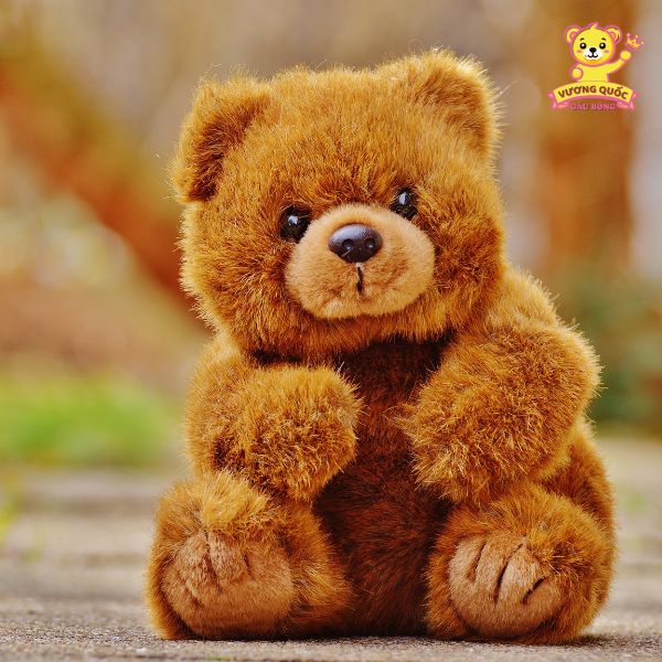 Lưu giữ kỷ niệm lâu dài